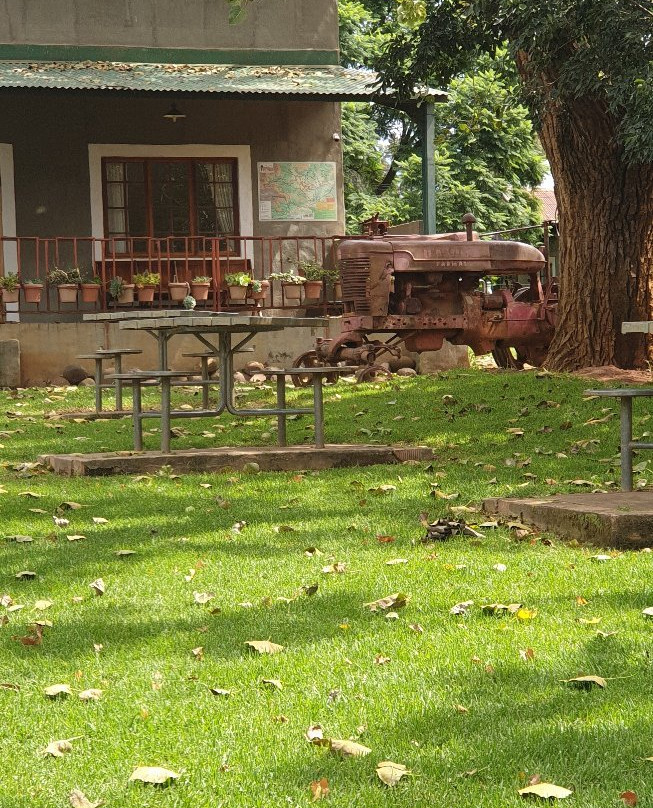 Tower of Pizza主图