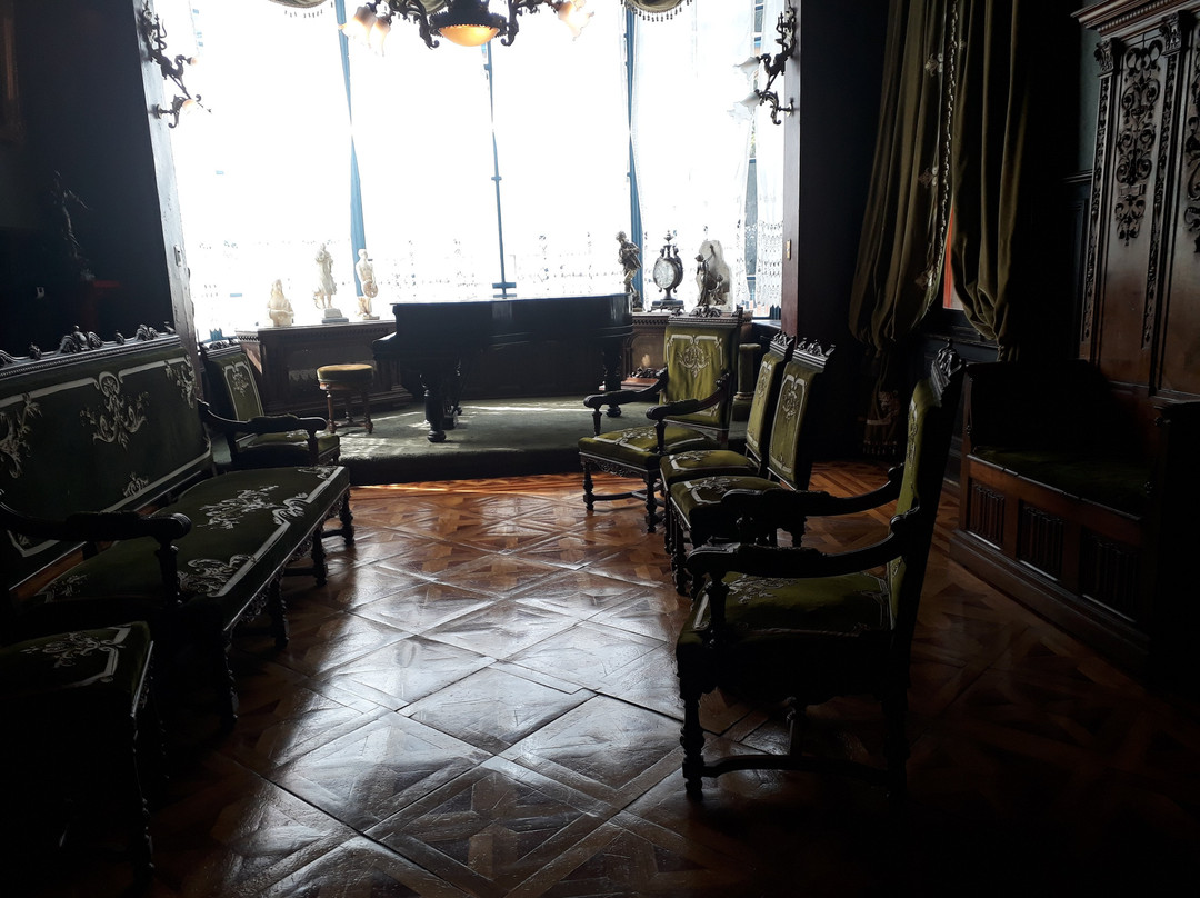 Palacio Sara Braun-蓬塔阿雷纳斯必去景点