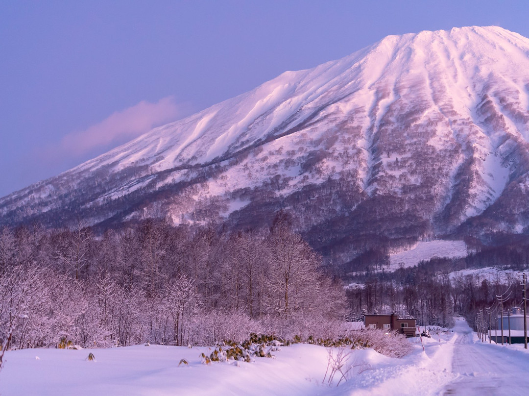 Niseko Moiwa Ski Resort景点图片