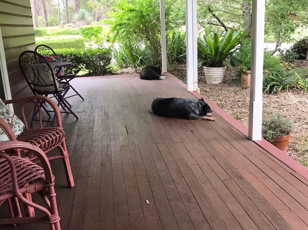 Anduramba Homestead B&B主图