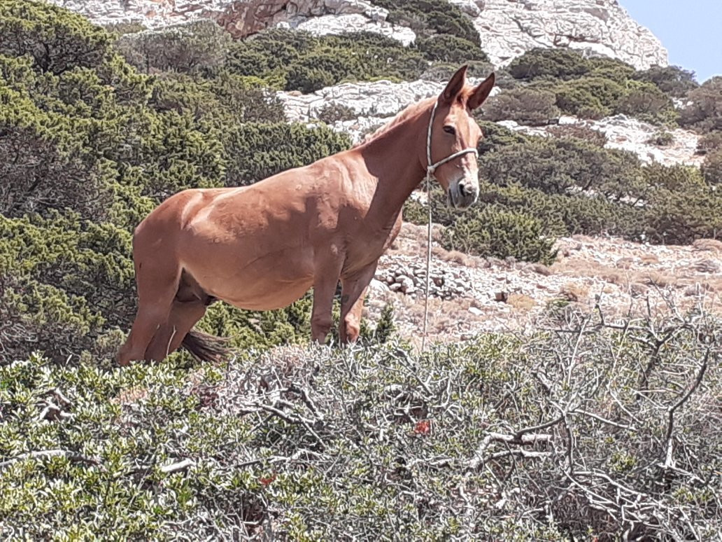 Agios Ioannis Cave-Irakleia必去景点