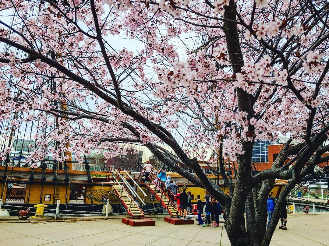 Erie Maritime Museum & U.S. Brig Niagara-伊利必去景点