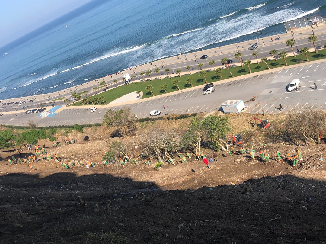 Terrasse des Paresseux-丹吉尔必去景点