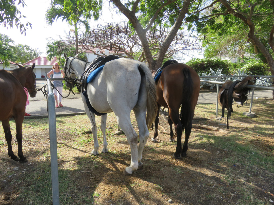 Barbados Polo Club-圣詹姆斯必去景点