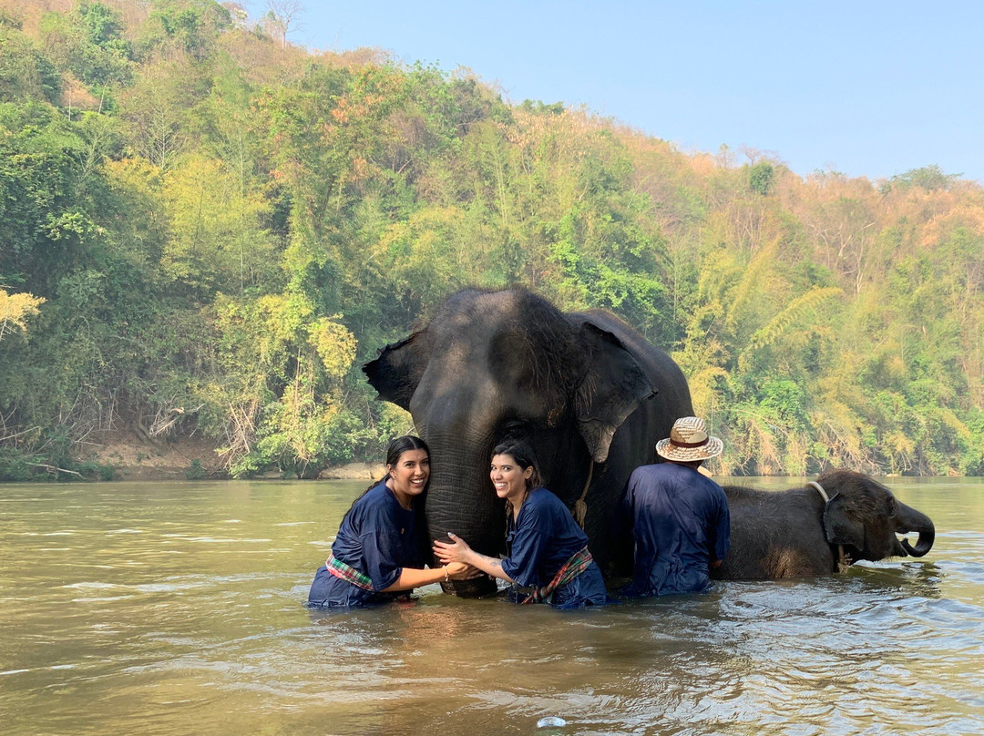 Elephants' Home & Nature景点图片