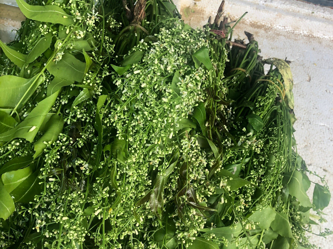 My Wok and Me-帕岸岛必去景点