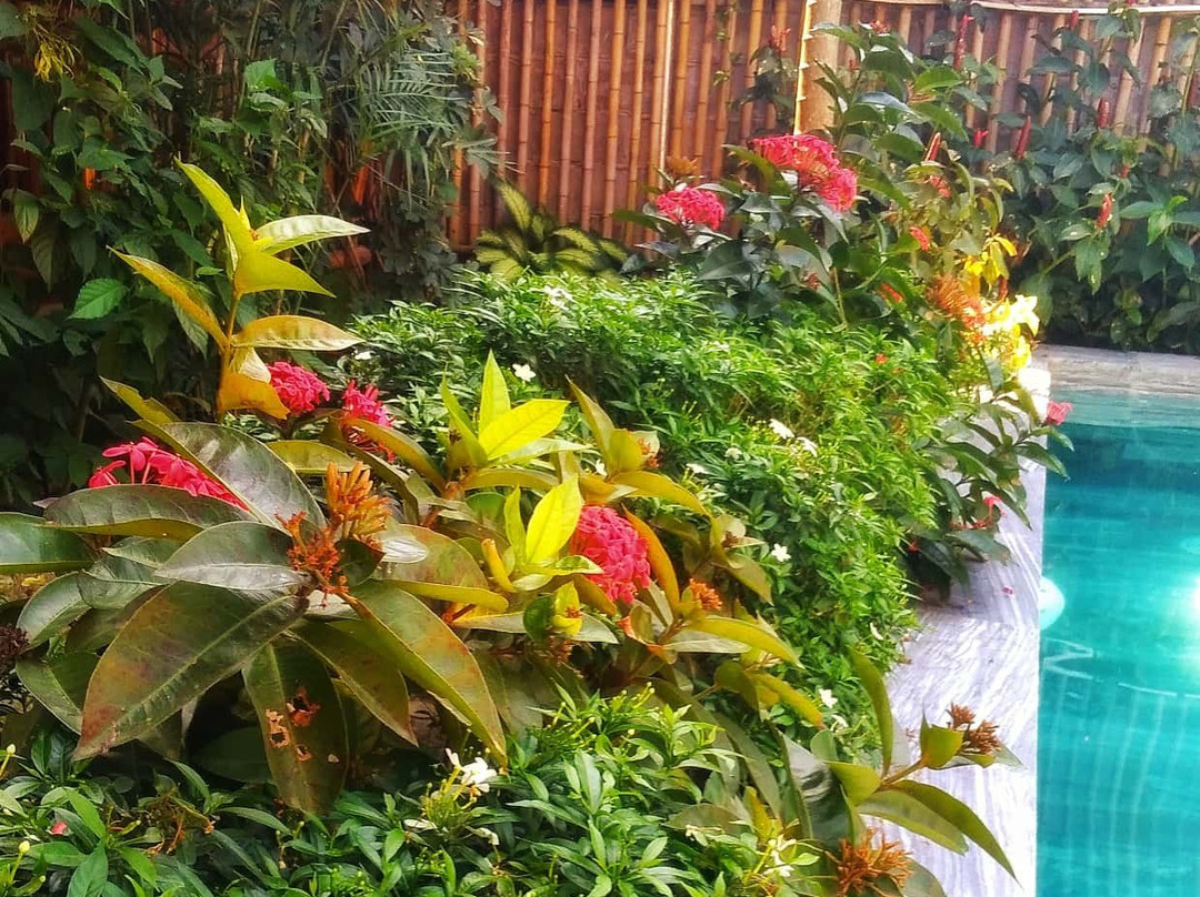 Bamboo Phu Quoc主图