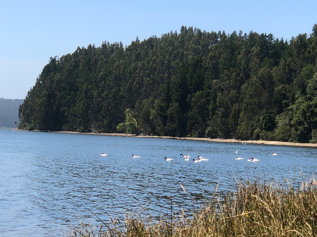 Uñum Kimün-Puerto Saavedra必去景点