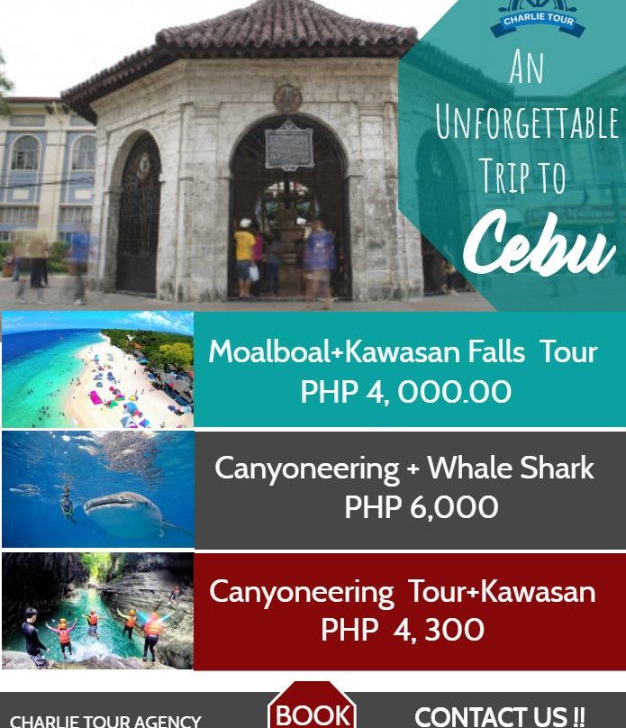 鲸鲨共游之旅-奥斯洛布必去景点