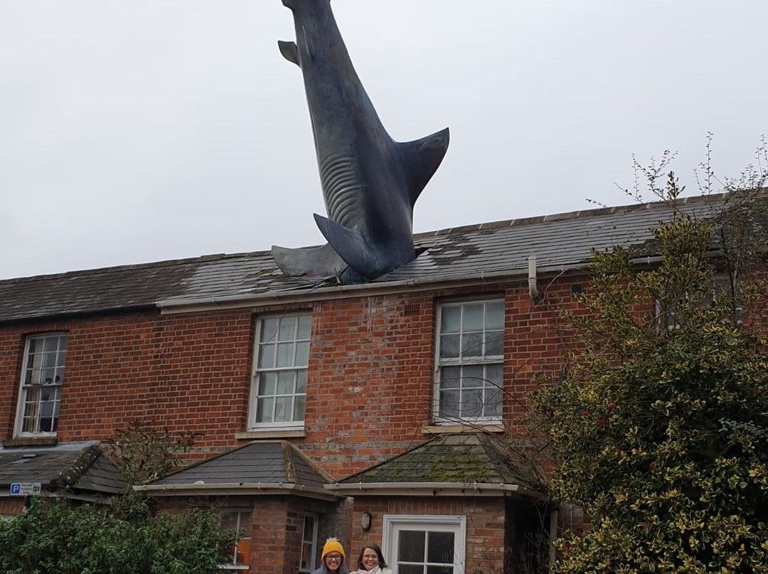 Headington Shark景点图片