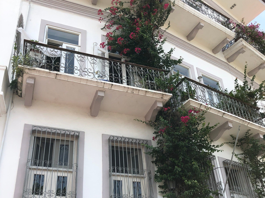 Melania Panama Tours-巴拿马城必去景点