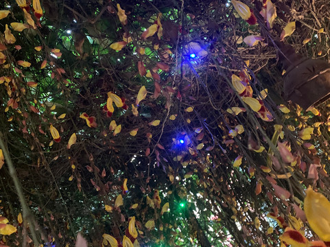 SPA.ce the Spa-班加罗尔必去景点