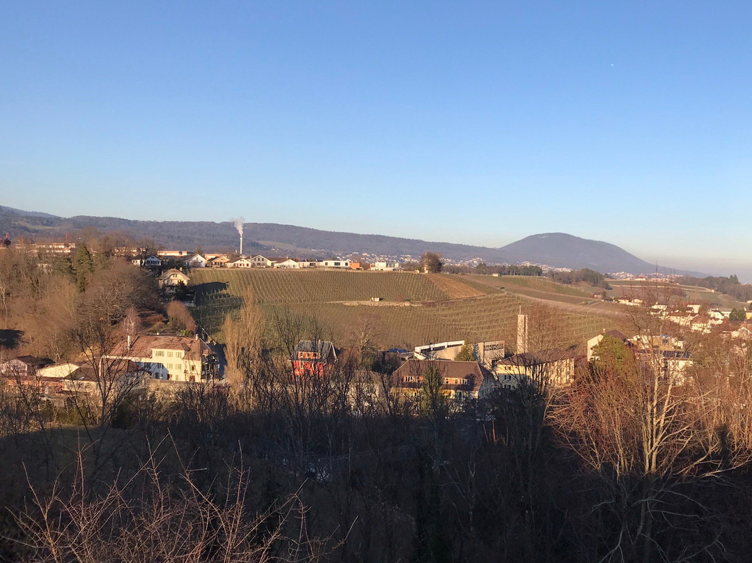 Musée de la Vigne et du Vin-Boudry必去景点