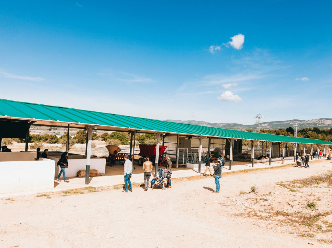 Finca Daroca景点图片