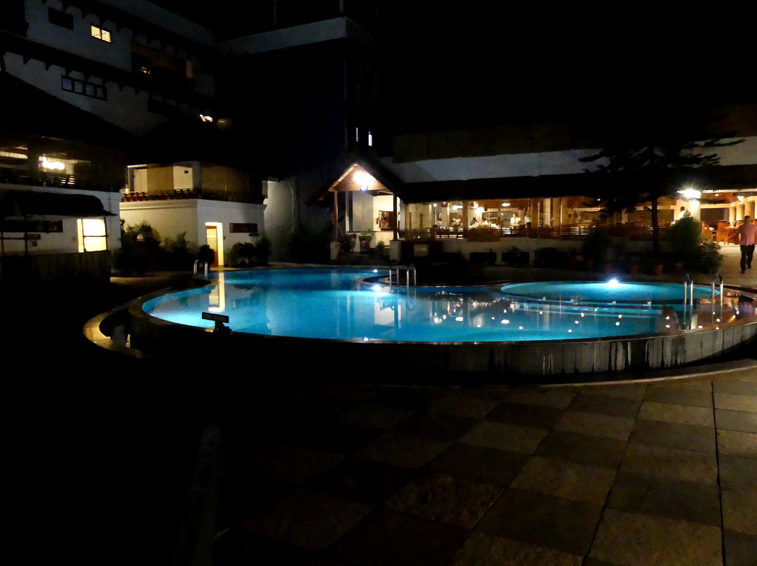 The Elephant Court主图