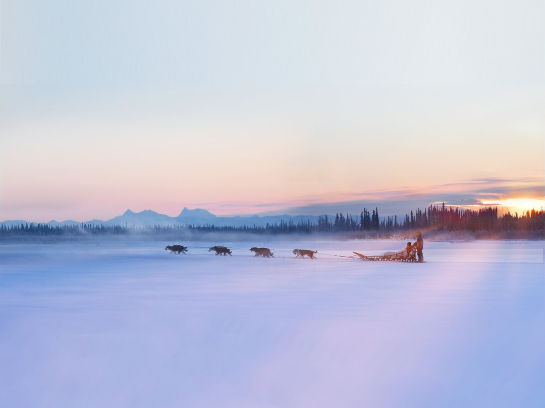 Trail Breaker Kennel-费尔班克斯必去景点