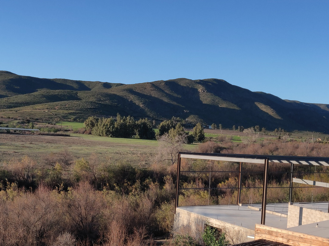 Baja Wine And Dine景点图片
