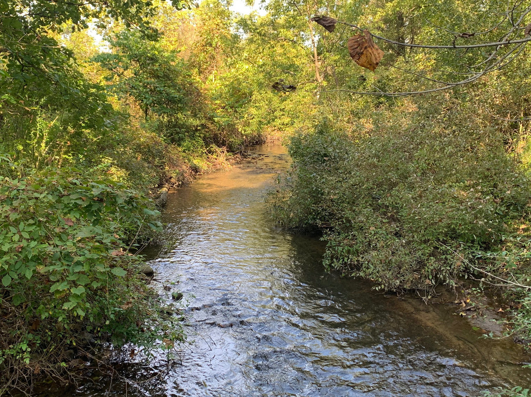 Matthaei Botanical Gardens-安娜堡必去景点
