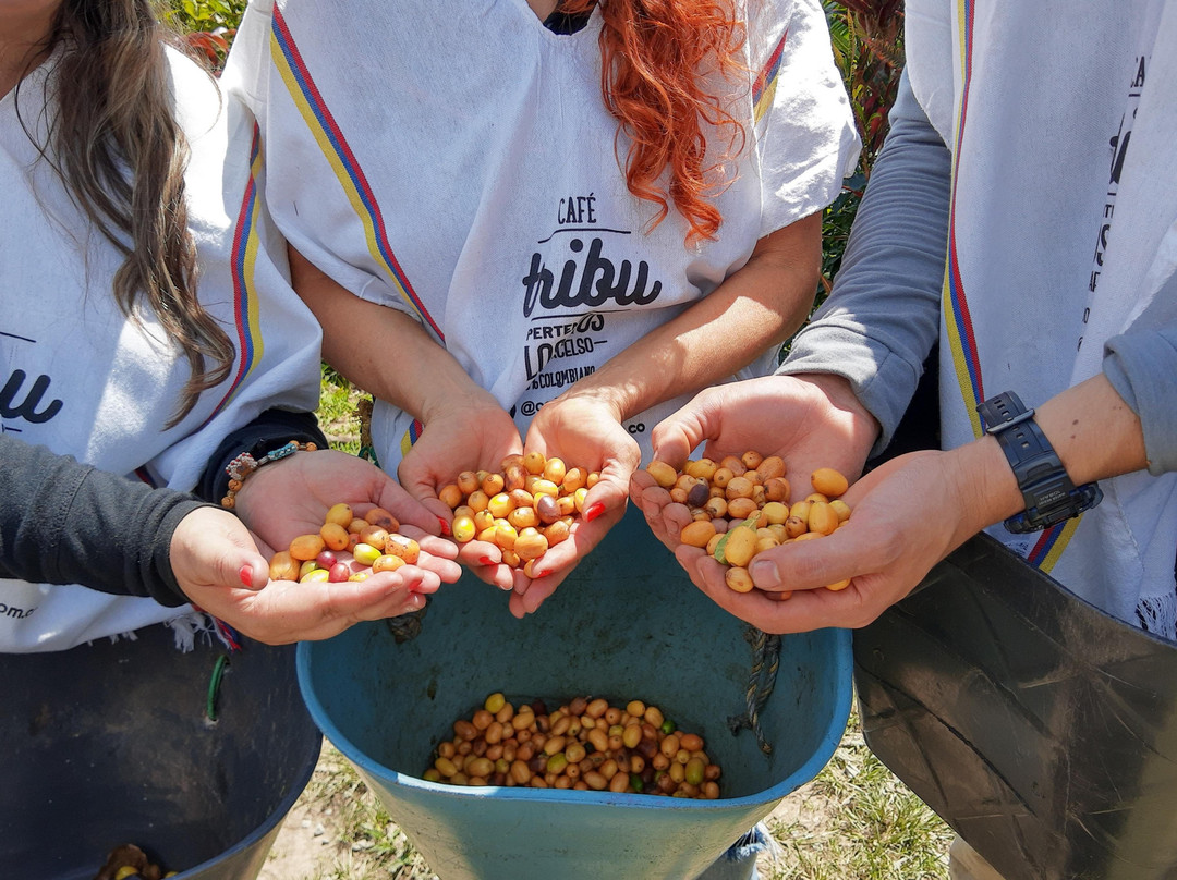 Café Tribu-San Jeronimo必去景点