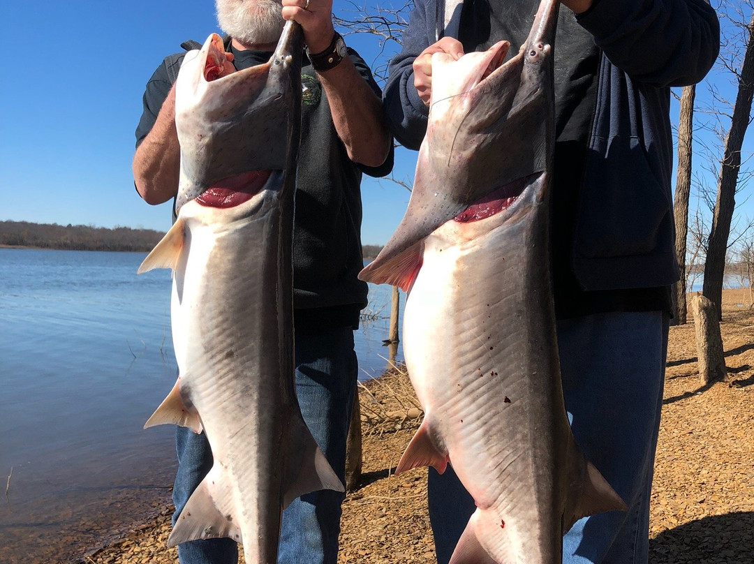 Sleepy Traveler Motel主图