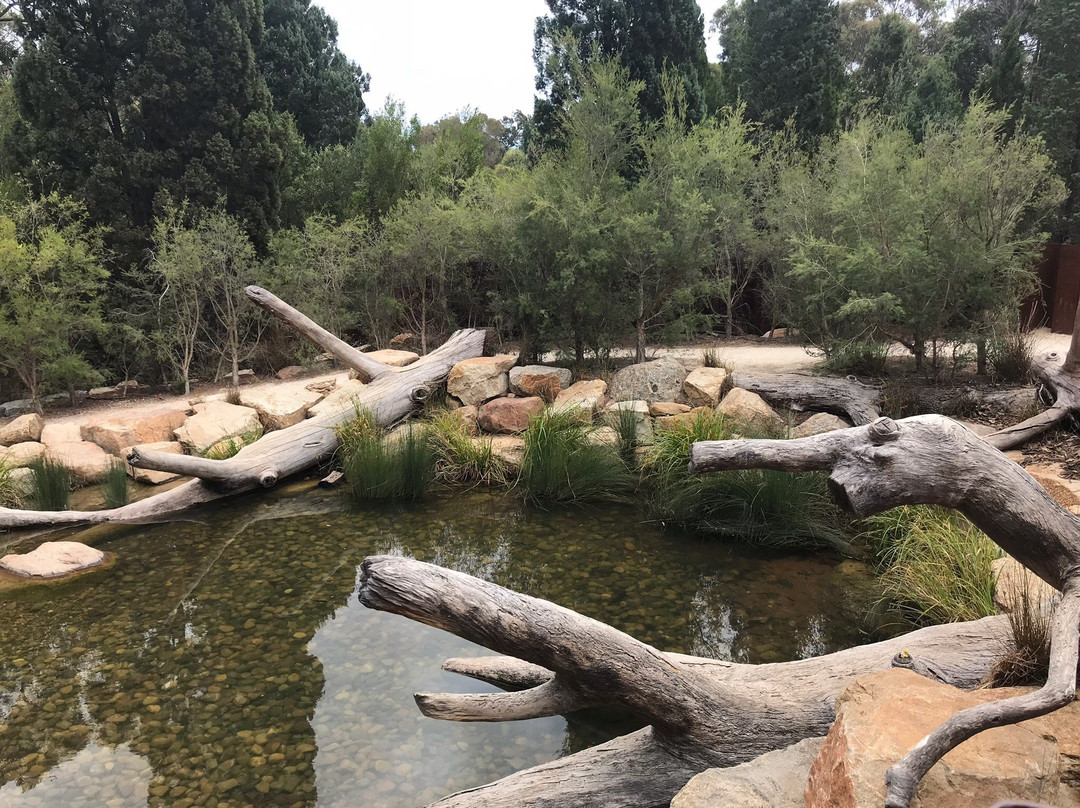 Rio Tinto Naturescape Kings Park-珀斯必去景点