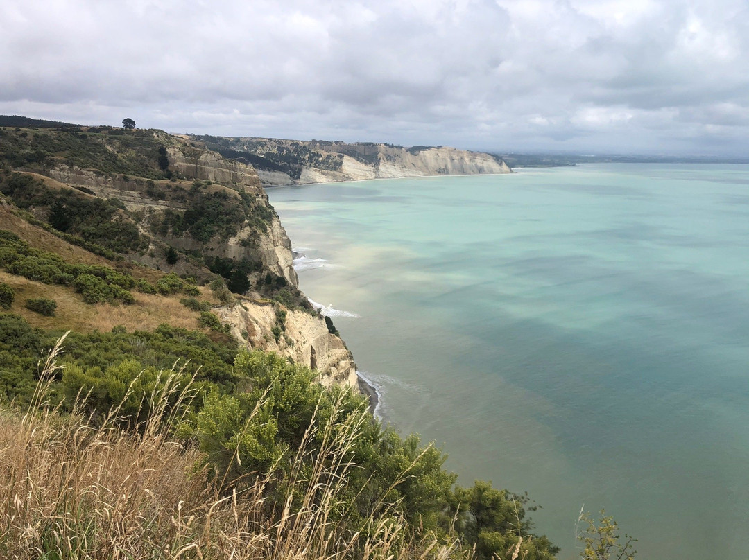 Cape Kidnappers Golf Course景点图片