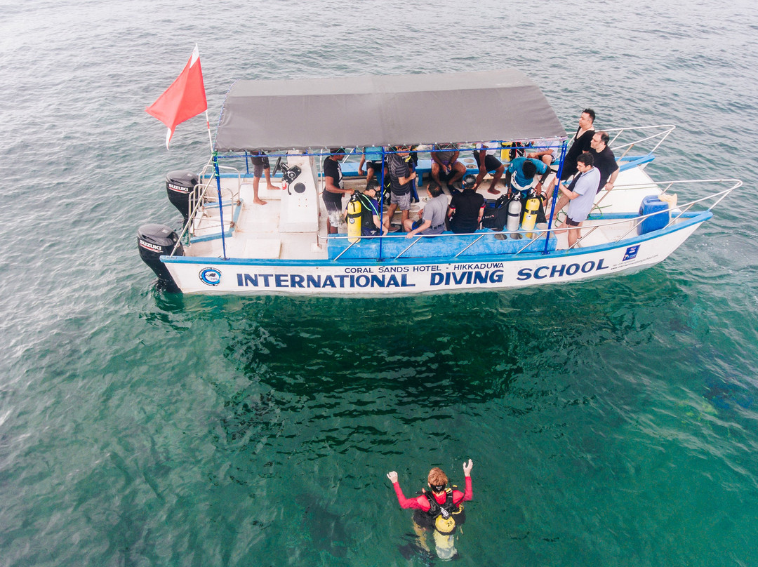 International Diving School景点图片