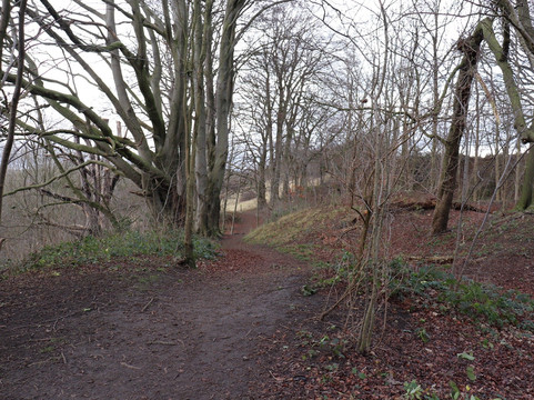 Hetchell Woods and Pompocali-利兹必去景点