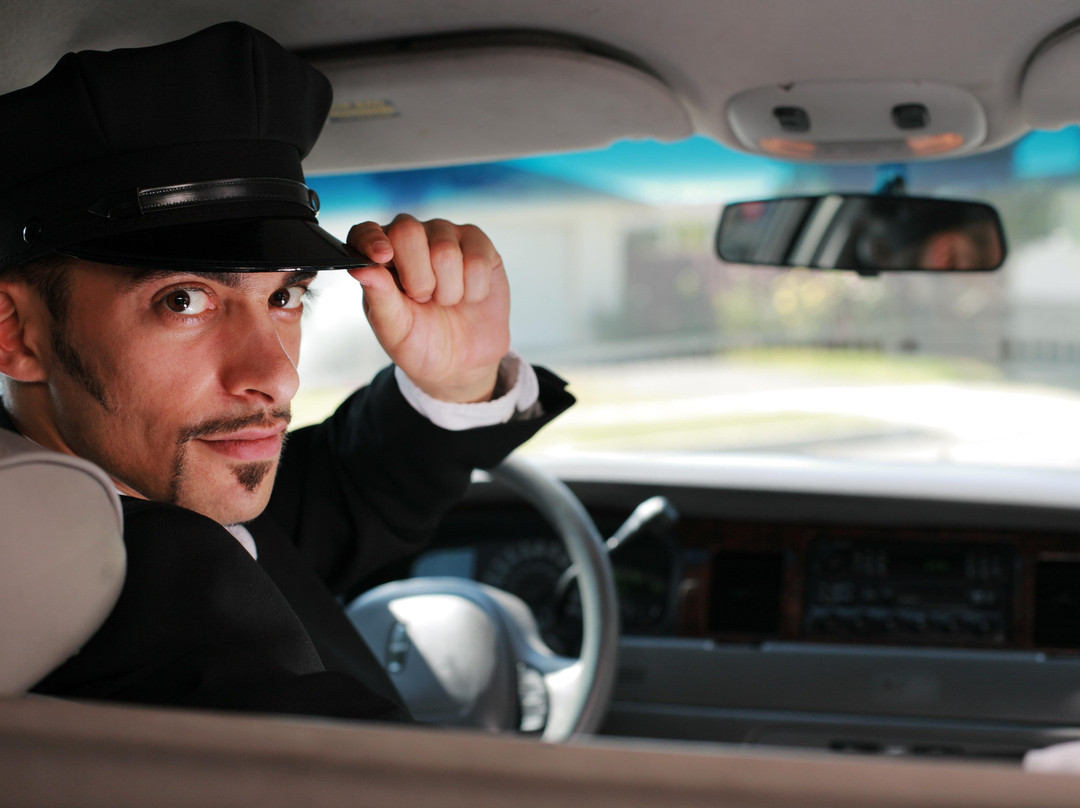Berlin Private Airport Transfer Services || English Speaking Driver-Brandenburg City必去景点