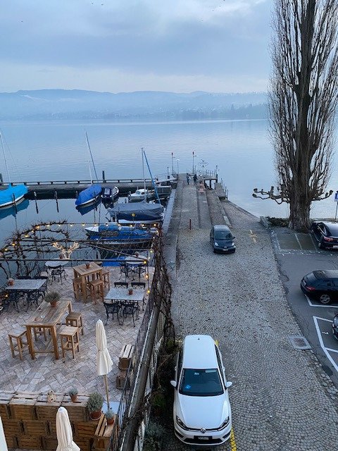 Hirschen Am See-酒店景观