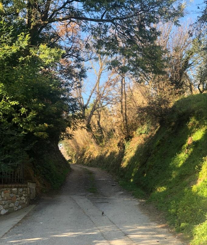 Agriturismo Terre di Leonardo主图