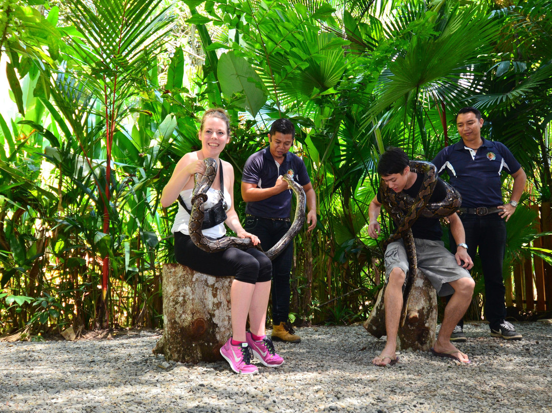 Borneo Beyond Adventure-亚庇必去景点
