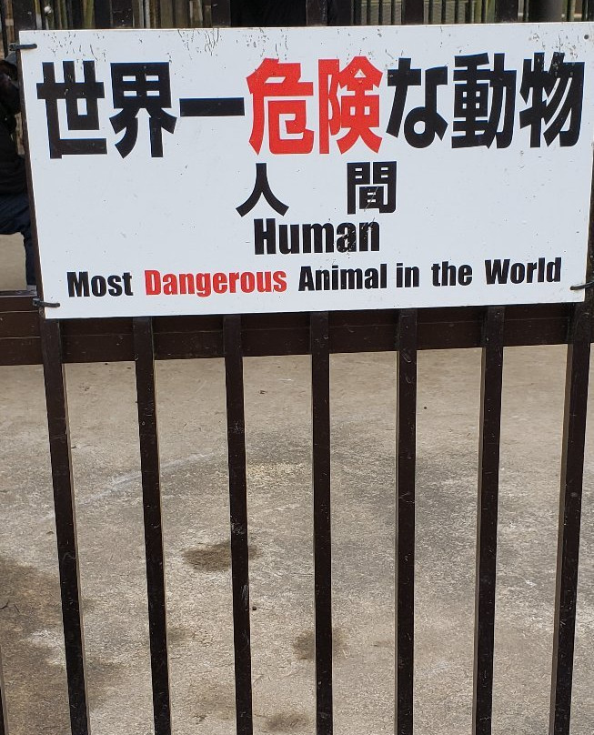 Sayuri World-市原市必去景点