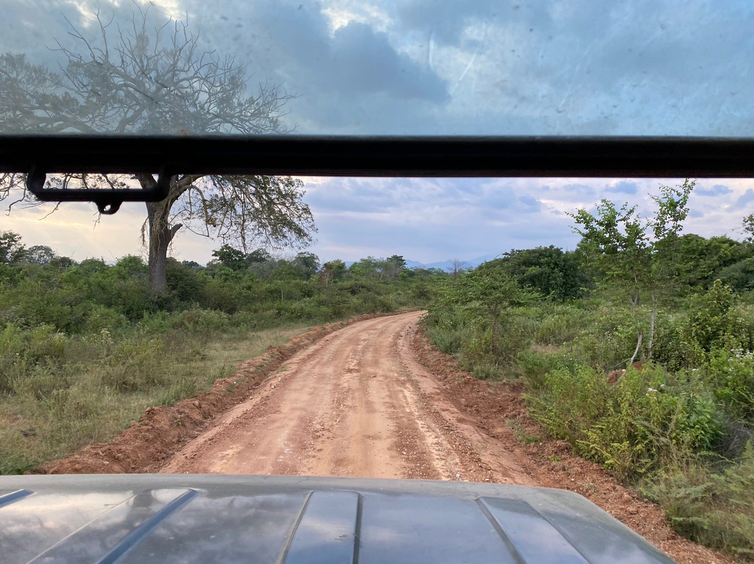 Peacock Villa Resort主图