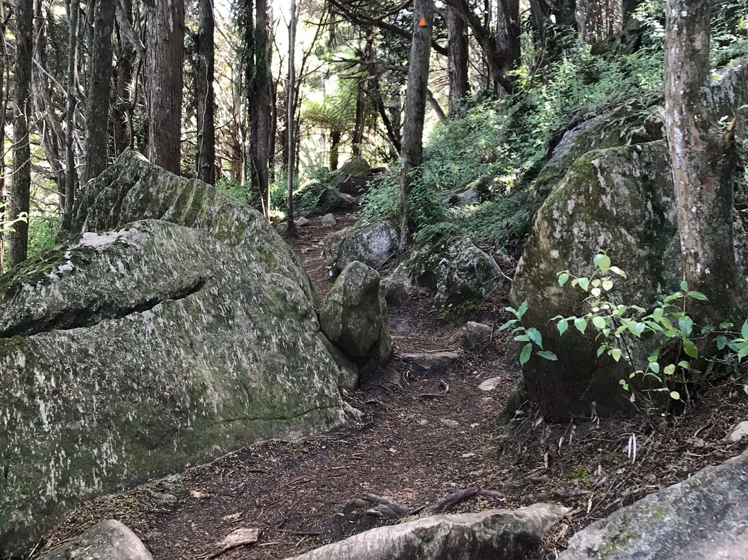 Waipu Caves Scenic Preserve景点图片