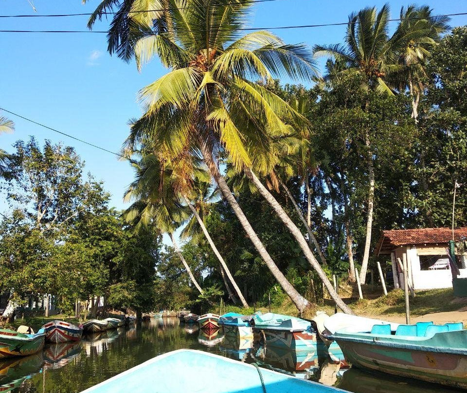 Sarath Boat Tours景点图片
