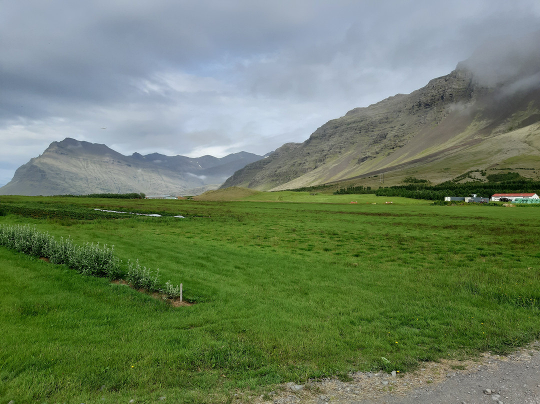 哈利乡村酒店主图