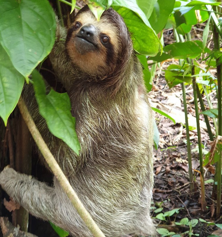 Playa Bluff Hotel主图