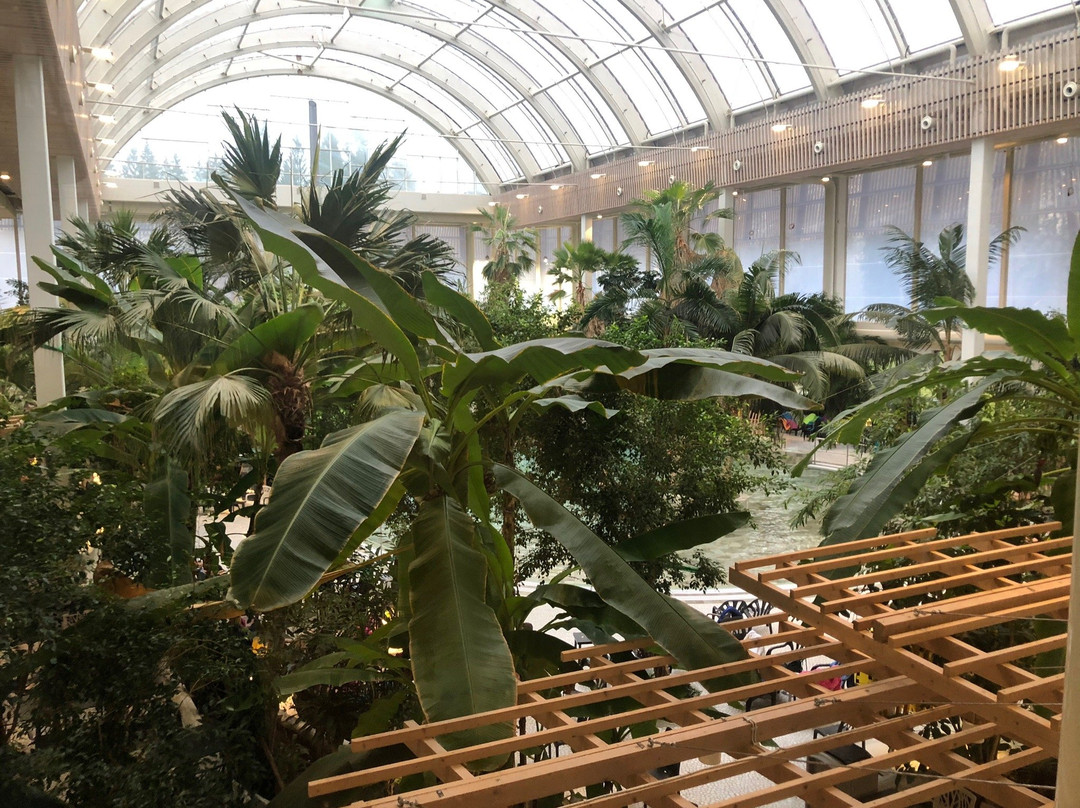 Aqua Mundo Center Parcs Park Allgäu景点图片