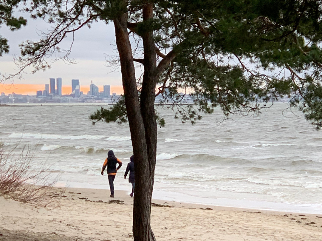 Pirita Beach Apartments & Spa主图