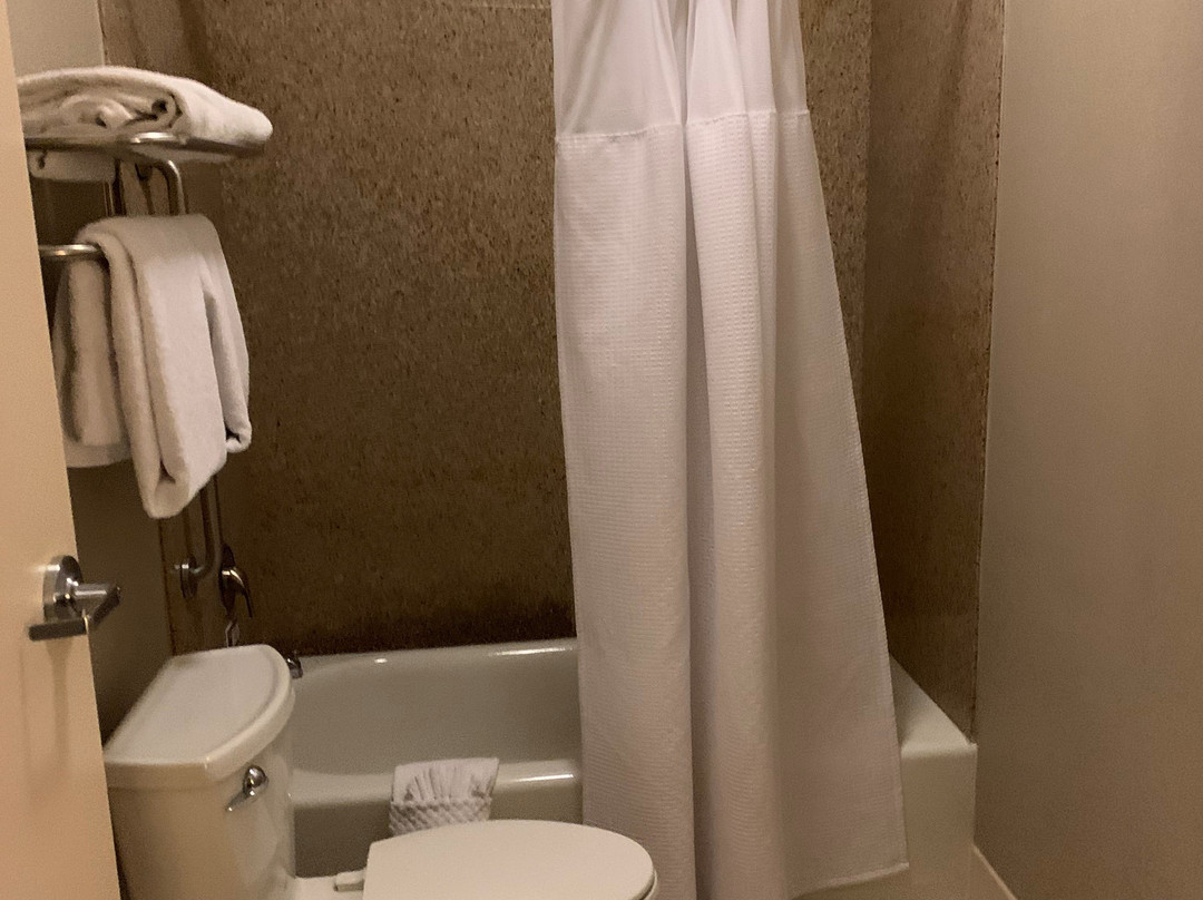 SpringHill Suites by Marriott Phoenix Glendale Sports & Entertainment District主图