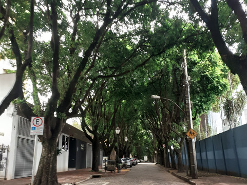 Rua 5-Araraquara必去景点