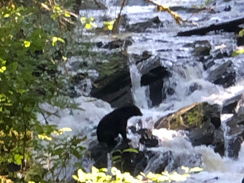Ketchikan Outdoors-凯奇坎必去景点