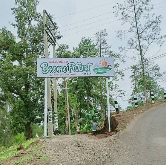 Bromo Forest Area景点图片