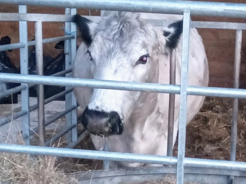 Woodlands Farm Trust-Welling必去景点