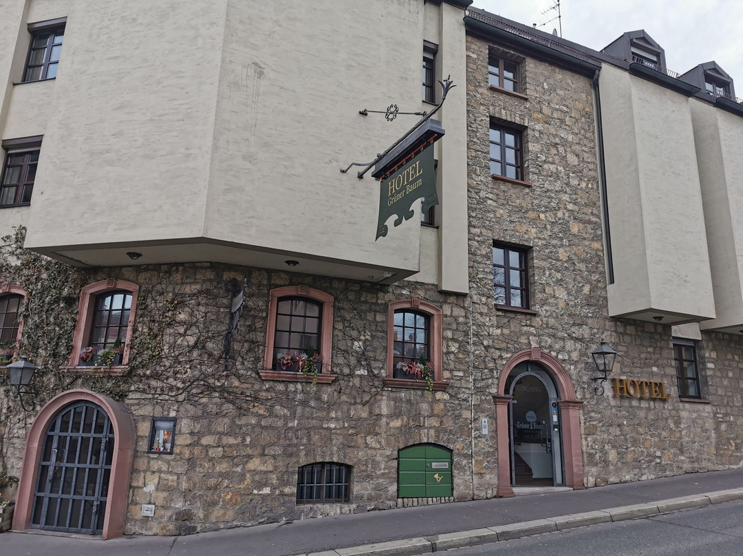 Hotel Gruener Baum主图