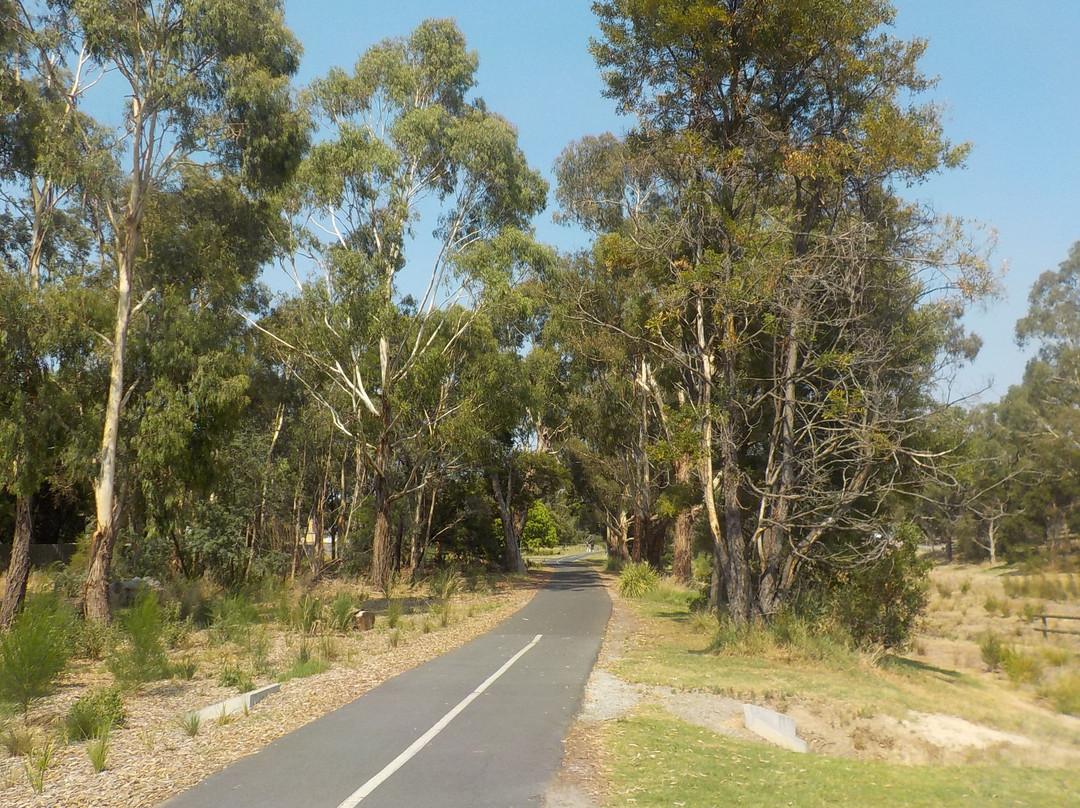 Dandenong Creek Trail-格伦韦弗利必去景点