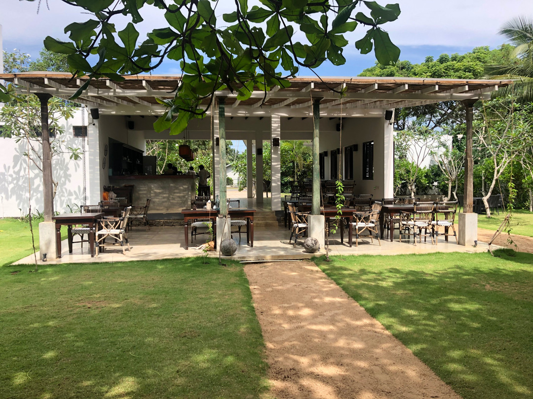 Zephyr Talalla主图