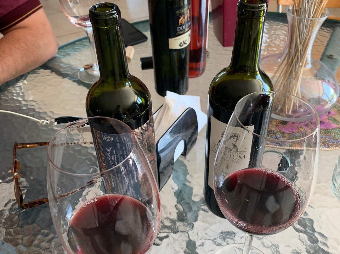 Dolium Winery景点图片