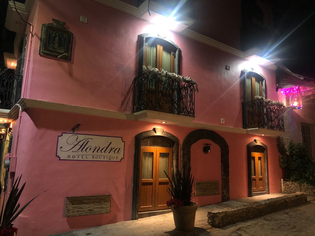 Alondra Hotel Boutique主图